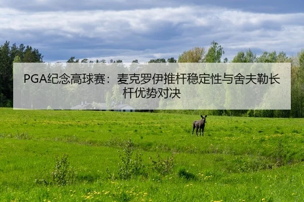 ji-nian-gao-qiu-sai-mai-ke-luo-yi-tui-gan-wen-ding-xing-yu-she-fu-lei-zhang-gan-you-shi-dui-jue-2-610.jpg