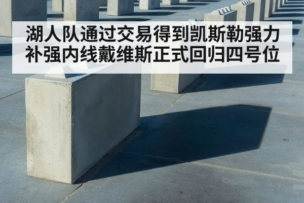 湖人队通过交易得到凯斯勒强力补强内线戴维斯正式回归四号位
