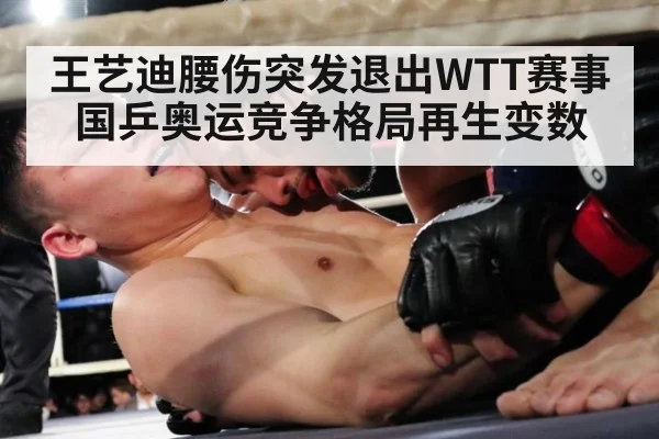 王艺迪腰伤突发退出WTT赛事 国乒奥运竞争格局再生变数
